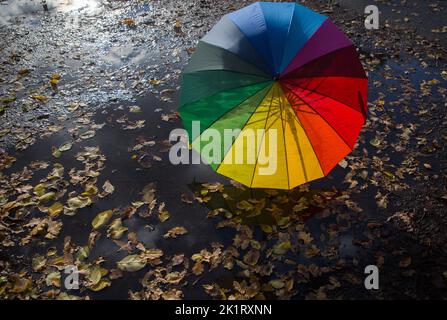 colorful umbrella of rainbow colors stands on the pavement, wet from ...