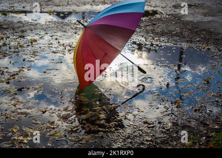 multi-colored umbrella stands in puddle strewn with autumn leaves on asphalt road, illuminated by backlight of sun. autumn atmosphere. symbol of rainy Stock Photo