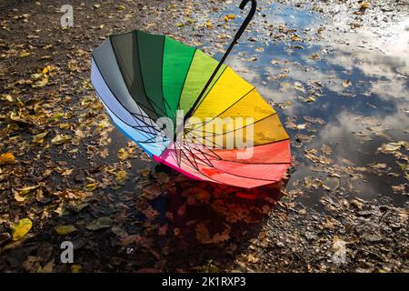 multi-colored umbrella of rainbow colors lies in a puddle strewn with autumn leaves on an asphalt road. autumn atmosphere. symbol of the rainy season, Stock Photo