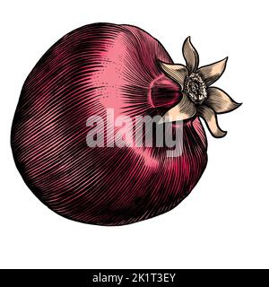 Pomegranate fruit hand drawn sketch in engraving style. Vector illustration isolated on white background Stock Photo