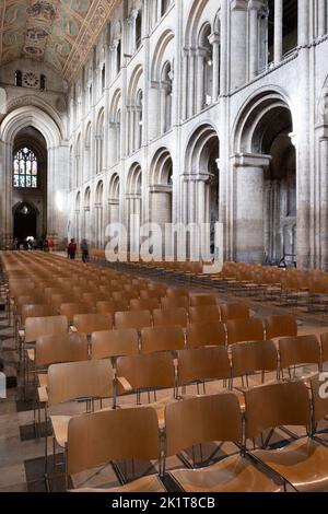 Rows of seats in the nave of Ely Cathedral with the painted wooden ceiling telling the story of Jesus' ancestors Stock Photo