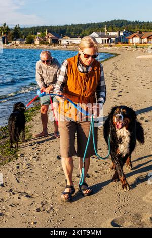 Senior couple walking two pet dogs on the beach; Whidbey Island; Washington; USA Stock Photo