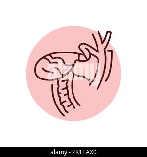 Bile in bladder color line icon. Human diseases. Pictogram for web page, mobile app, promo. Stock Vector
