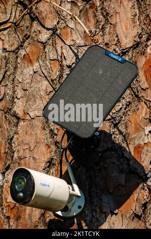 A Reolink security camera and solar panel is mounted to a tree, Sept. 8, 2022, in Daphne, Alabama. Stock Photo