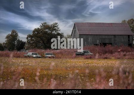 Old cars and a truck in farmers field near barn Stock Photo
