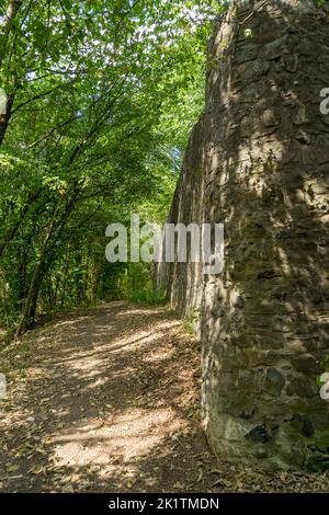 Ancient castle ruin called Greifenstein in the same called german village Stock Photo