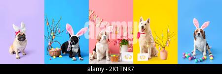 Set of cute dogs with bunny ears and Easter eggs on colorful background Stock Photo