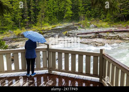 McDonald Falls; McDonald Creek; Glacier National Park; Montana; USA Stock Photo