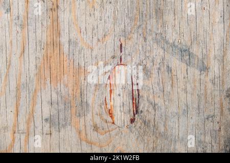 The texture of orange plywood. The texture of the smooth surface of plywood. Top view of the plywood background. Stock Photo