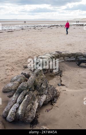 Ruin of a pill box from the second world war defences on the beach at Alnmouth Bay, Alnmouth, Northumberland, England, UK. Stock Photo