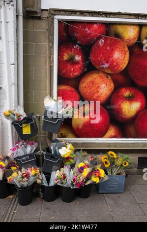 Bunches of fresh cut flowers in black plastic tubs outside a fruit and vegetable shop with red apples poster. Stock Photo