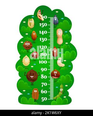 Cartoon happy nuts characters kids height chart, growth meter. Vector height measurement wall sticker with funny pistachio, peanut and walnut, coconut, sunflower and hazelnut, pumpkin seeds and bean Stock Vector