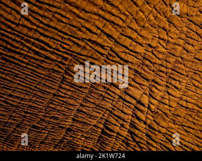 Image showing intricate patterns and textures on elephant at Amboseli National Park, Kenya Stock Photo