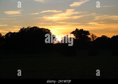 Sunset scenic picture with sun behind trees Stock Photo