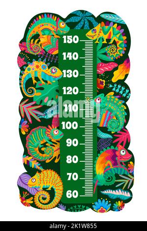 Mexican chameleon lizards on kids height chart. Child growth meter scale with color chameleons, lizard exotic animal, tropical palm plant leaves and f Stock Vector
