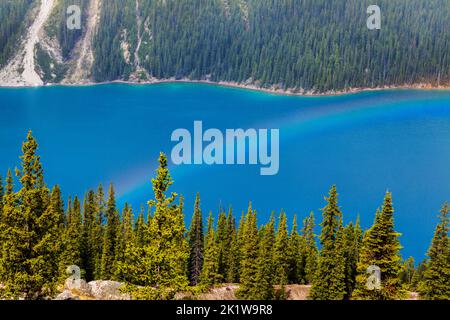 Rainbow over Peyto Lake; Banff National Park; Alberta; Canada Stock Photo