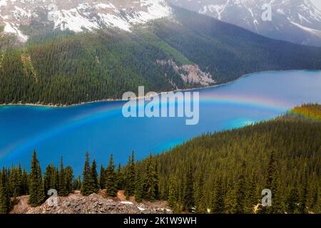Rainbow over Peyto Lake; Banff National Park; Alberta; Canada Stock Photo