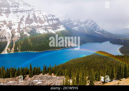 Rainbow over Peyto Lake; Banff National Park; Alberta; Canada Stock Photo