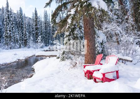 A picnic site along the Maligne Lake road in winter, Jasper National Park, Alberta, Canada.