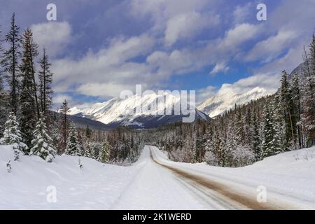 A mountain and forest scenic along the Maligne Lake road in winter, Jasper National Park, Alberta, Canada.