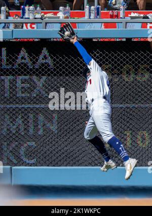 Los Angeles Dodgers' Joey Gallo before a baseball game against the San  Francisco Giants in San Francisco, Thursday, Aug. 4, 2022. (AP Photo/Jeff  Chiu Stock Photo - Alamy