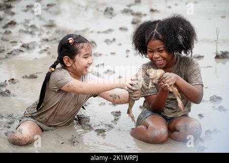 Two happy children child girl catching big frog in the large wet mud puddle on summer day. Stock Photo