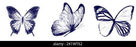 Set of butterflies drawn with a blue pen isolated on a white Stock Photo