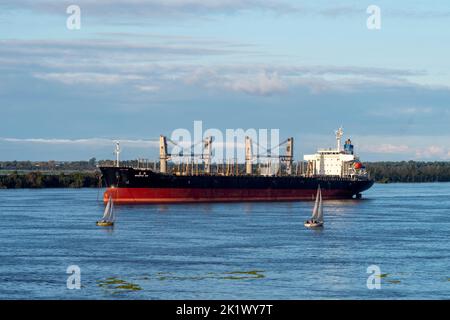 A big ship and sailing boats in Parana River, seen from the promenade in Rosario, Argentina Stock Photo