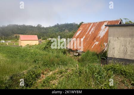 Barns and other outbuildings on a small farm in the village of Lombo do Curral on the outskirts of Santana in North-Eastern Madeira Stock Photo