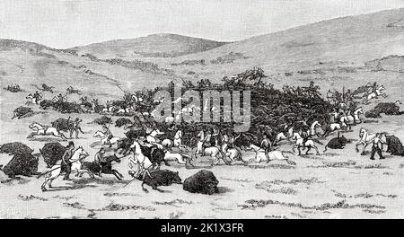 Bison massacre by American Indians, USA. Old 19th century engraved ...
