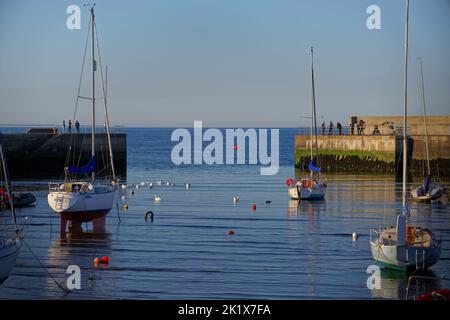 Sailing boats in Bray Harbour at the evening sunlight, County Wicklow, Ireland. Stock Photo