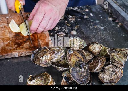A man's hands cut fresh lemon on wooden cutting board to serve with raw opened oysters, lifestyle food, ready to eat on a dark background, luxury food Stock Photo