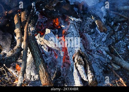 Burning log of wood close-up as abstract background. The hot embers of burning wood log fire. Stock Photo