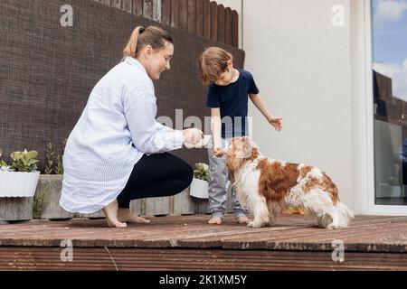 Mother, son feeding, training smart dog Cavalier King Charles coker spaniel near house. Obedience of commands and rules Stock Photo