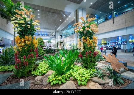 Colourful floral display in Orchid Garden in Changi International Airport, Singapore. Stock Photo