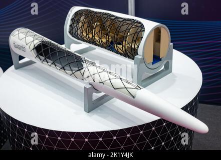 December 8, 2021, Sochi, Russia. The layout of the structural and power scheme of the fragment of the nose of the tsagi 100 supersonic business aircra Stock Photo