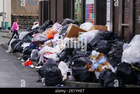 Armagh City, Banbridge and Craigavon Council to explore lifting extra bin  bags following strike, UTV