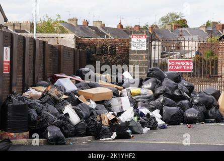 Armagh City, Banbridge and Craigavon Council to explore lifting extra bin  bags following strike, UTV