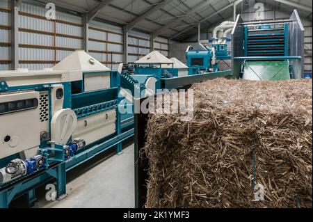 Hemp is useful in the industry of construction, clothes, food. |  Premier salon du chanvre wallon. Nouvelle filiere industrielle, le chanvre trouve so Stock Photo