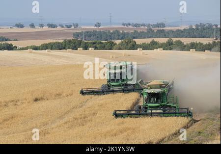 ISRAEL, Negev semi-arid region, Ofakim, 4000 hectare farming joint venture of kibbutz Ruchama, Dorot und Tselim, barley harvest with John Deere combine harvester with instant straw bale pressing / Israel, Negev Wüste, Ernte von Gerste auf einer 4000 Hektar Kibbutz Farm Stock Photo