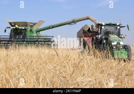 ISRAEL, Negev semi-arid region, Ofakim, 4000 hectare farming joint venture of kibbutz Ruchama, Dorot und Tselim, barley harvest with John Deere combine harvester with instant straw bale pressing / Israel, Negev Wüste, Ernte von Gerste auf einer 4000 Hektar Kibbutz Farm Stock Photo