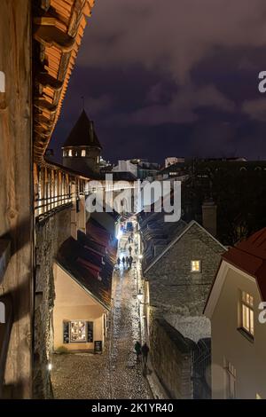 Tallinn, Estonia -  January 4, 2020: night panoramic view of Tallinn from the medieval walls Stock Photo