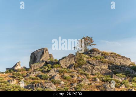 Landscape in Aubrac in summer, inspiring, infinite, enchanting, magical, peaceful, bewitching. Cevennes France. Stock Photo