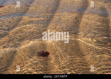 RIPPLES IN THE SAND PHOTOGRAPHED THROUGH THE SEA WATER Stock Photo