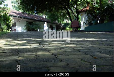 Cleaned foot path with concrete interlocks Stock Photo