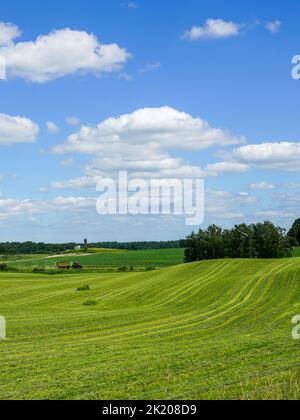 Rural landscape in summer with a freshly mowed meadow with trees on the background of a blue sky with white clouds, large wide open grassy field Stock Photo