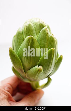 Close-up of artichoke on white background Stock Photo