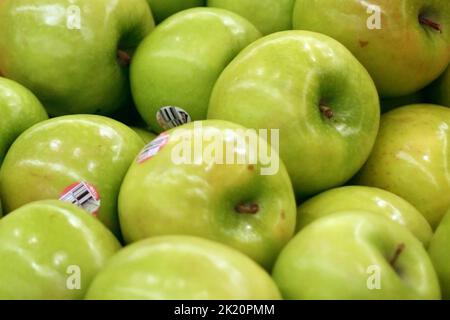 Red and green apple farm Stock Photo