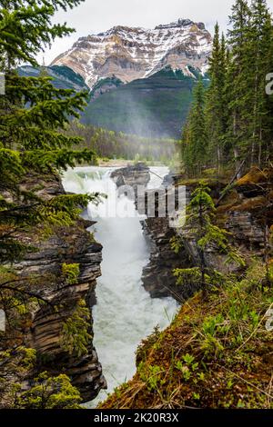 Athabasca Falls; Jasper National Park; Alberta; Canada Stock Photo