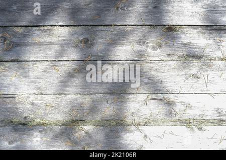 The texture of an old fence with a shadow. Wood texture with horizont lines. The texture of wood with knots and holes. The texture of a tree with moss. Stock Photo